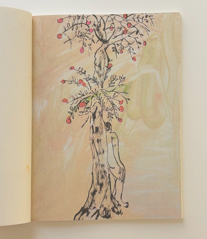 "Spring Drawings" Book