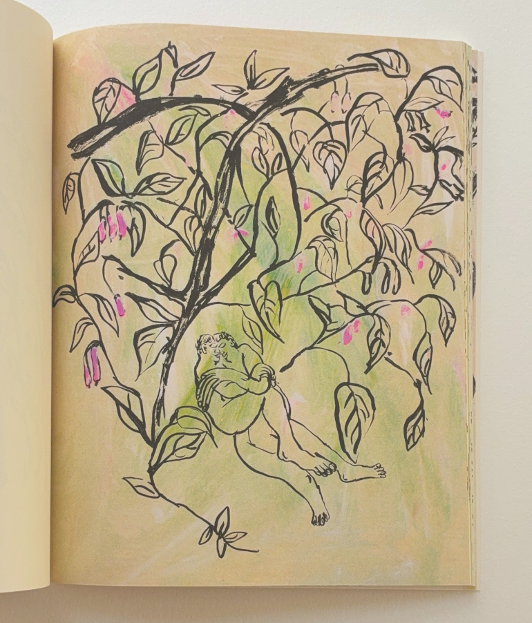 "Spring Drawings" Book