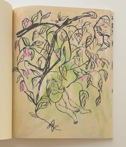 "Spring Drawings" Book